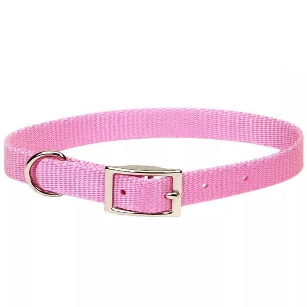 Coastal Single - Ply Durable Nylon Dog Collar for All Breeds