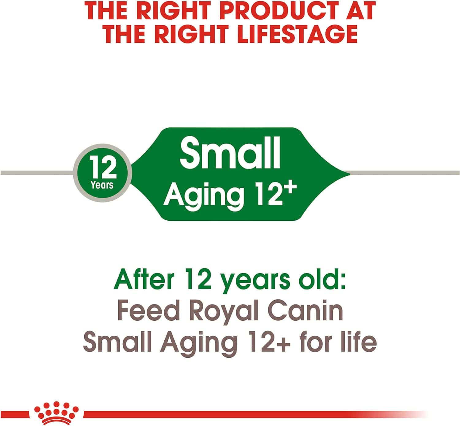 Royal Canin Premium Dry Dog Food for Small Aging Dogs 12 Years and Older, 2.5lb Pack