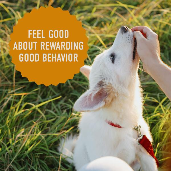 Cloud Star Soft & Chewy Cheddar-Flavored Dog Training Treats