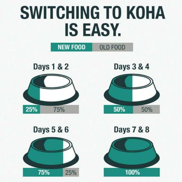 KOHA Turkey Entrée Canned Dog Food for Sensitive Stomachs