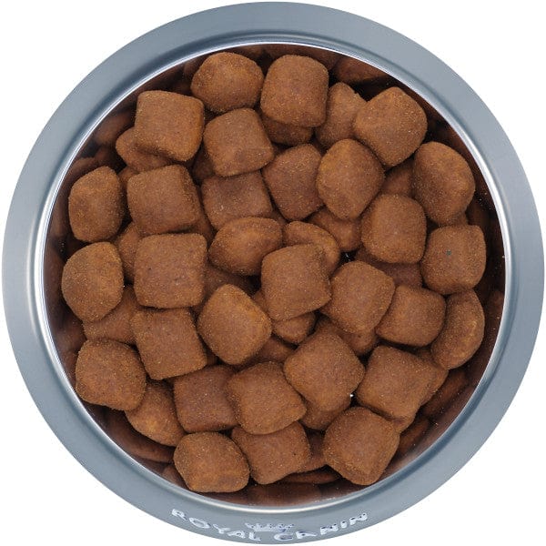 Royal Canin Premium Dry Dog Food for Giant Adult Canines, 30lb Bag