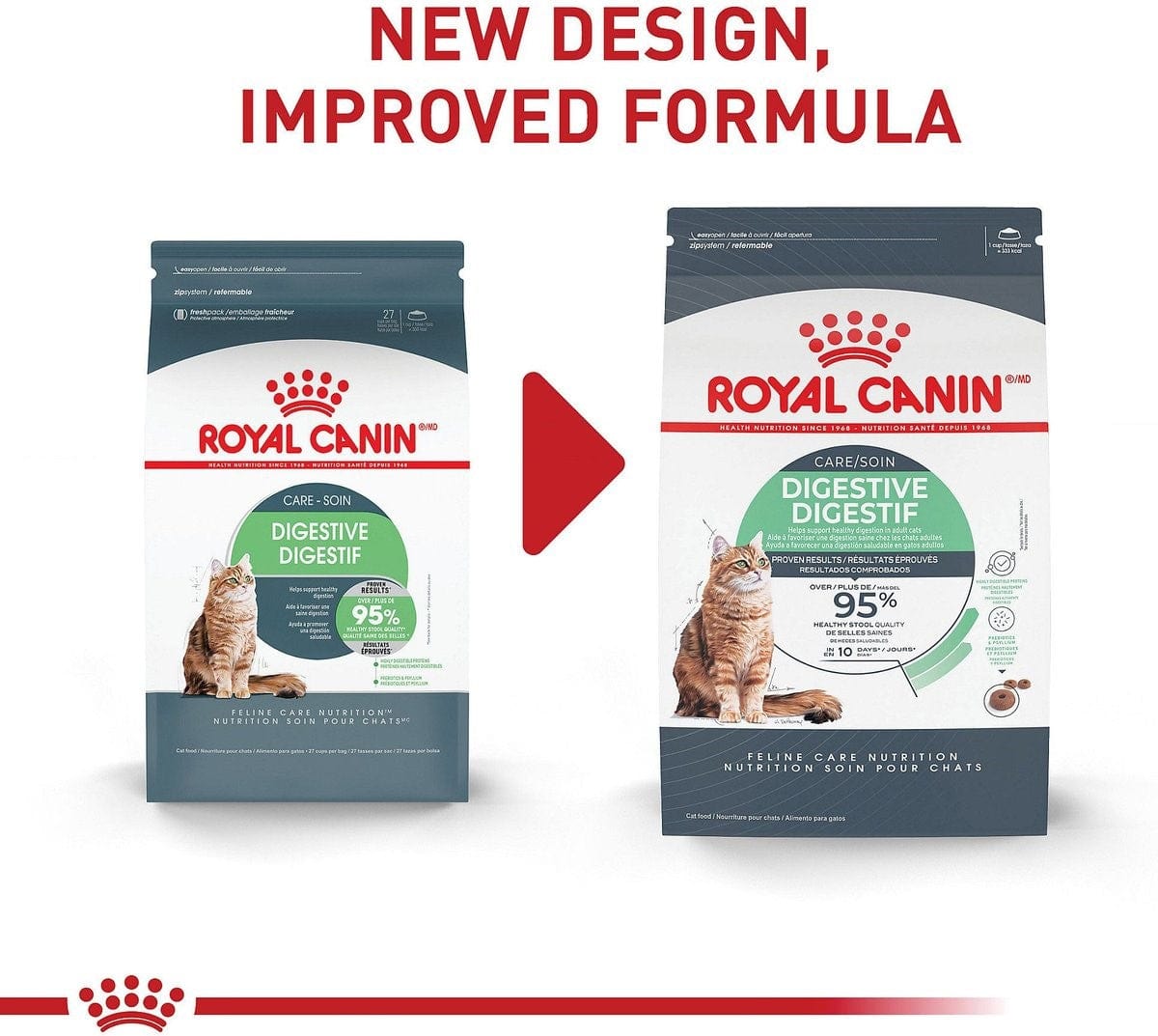 Royal Canin Digestive Care Dry Cat Food for Adult Felines