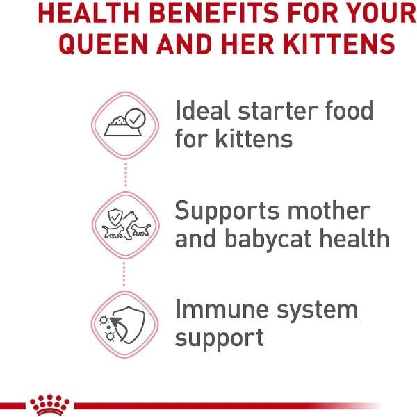 Royal Canin Ultra Soft Mousse Canned Cat Food Specially Designed for Mother Cats and Baby Kittens