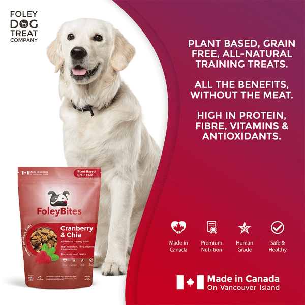 Premium Cranberry & Chia Baked Dog Treats by Foley - Plant - Based & Grain - Free