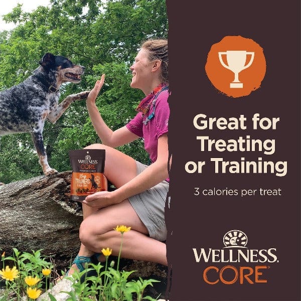 Wellness CORE Turkey & Pomegranate Tiny Trainers Tasty Dog Treats