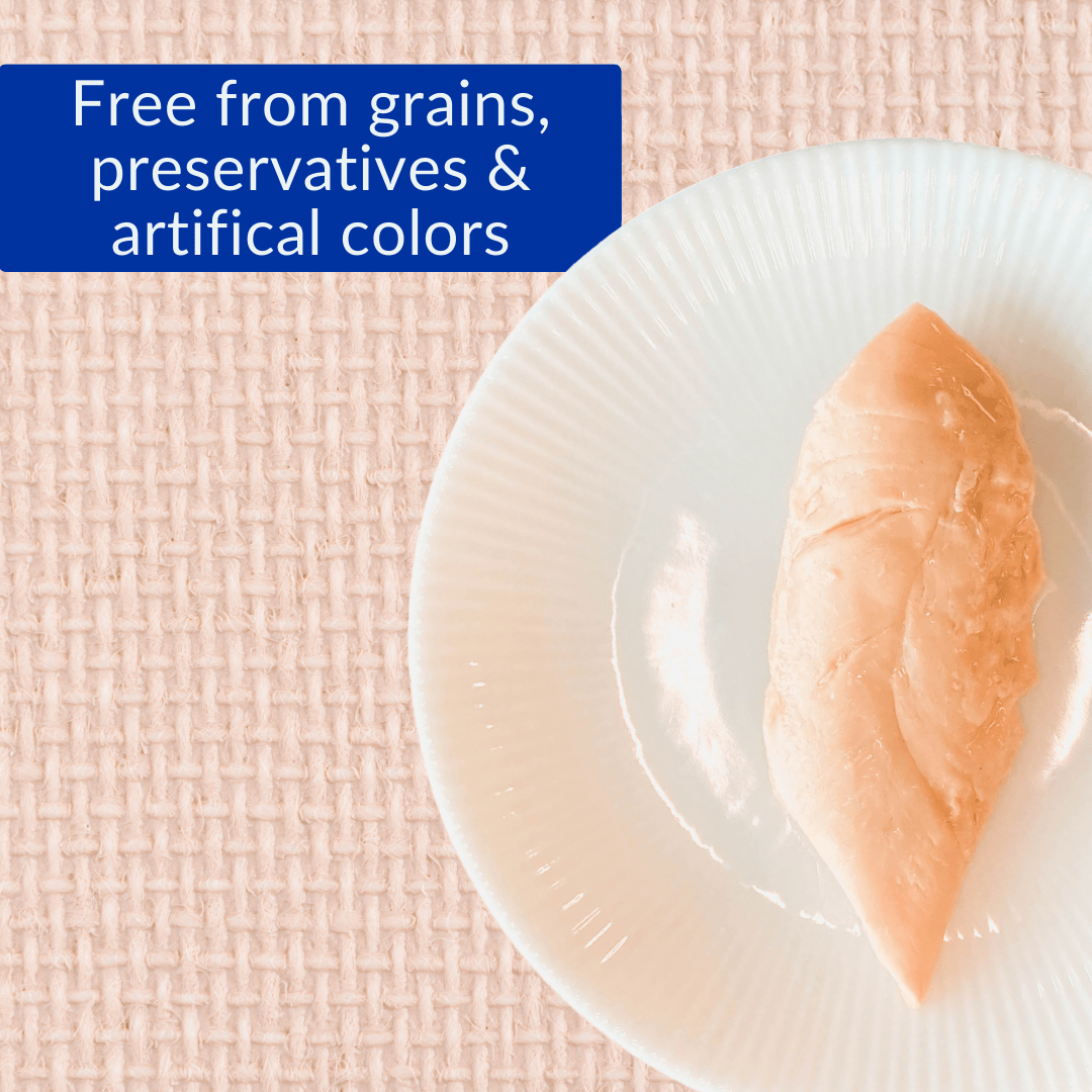 Inaba Premium Cat Treat - Grilled Chicken Fillets in Savory Chicken Flavored Broth