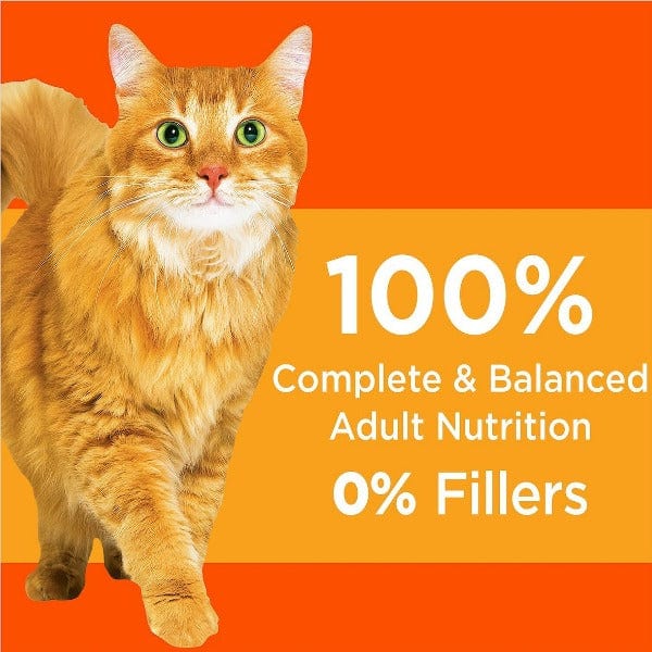 IAMS Proactive Health Premium Dry Cat Food for Healthy Adults, Featuring Chicken
