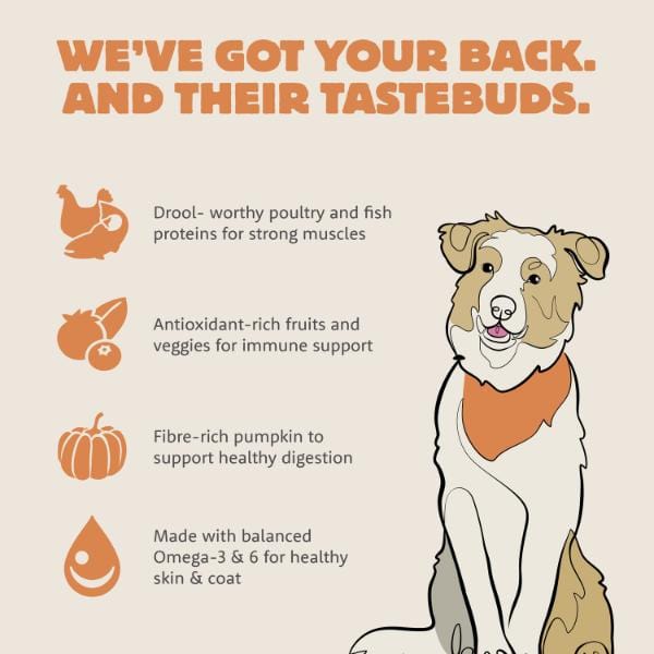 Petcurean Summit Coastal Grill Premium Adult Dry Dog Food with Chicken Meal & Salmon Meal
