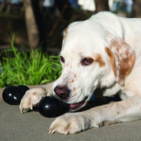 KONG Extreme Durable Goodie Bone Chew Toy for Dogs