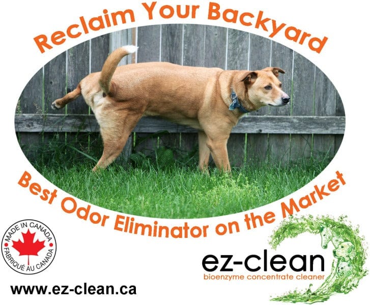 Professional-Grade Bioenzyme Cleaner for Odor Elimination - Ez-Clean