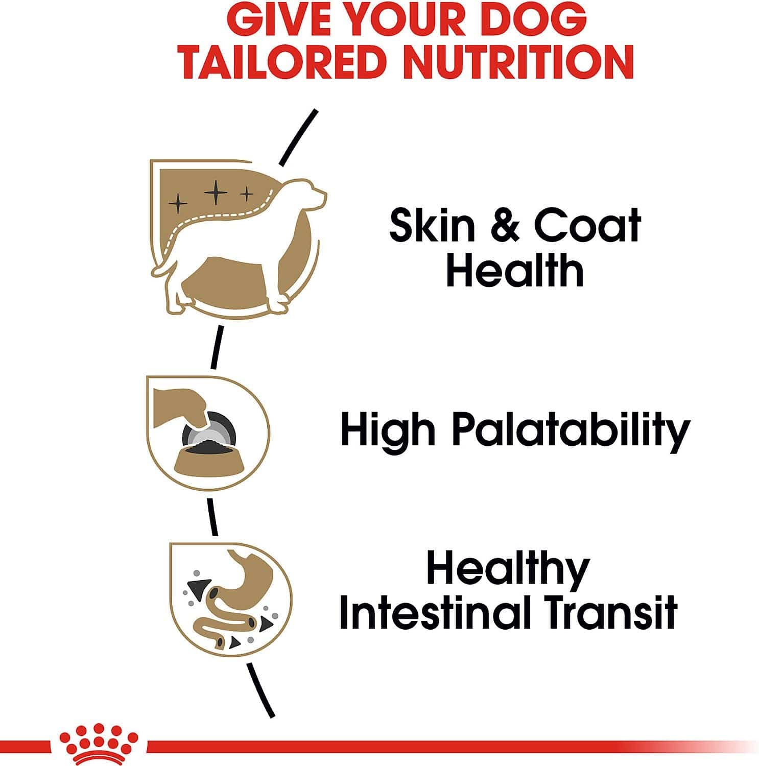 Royal Canin 85g Canned Dog Food with Loaf in Sauce for Chihuahuas