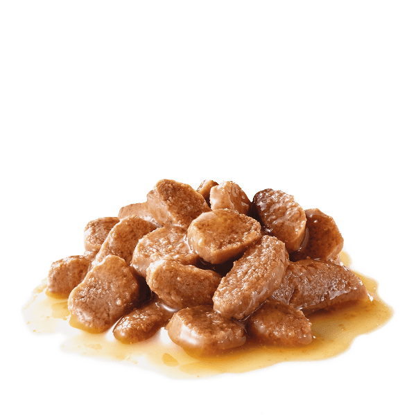 Royal Canin Premium Canned Cat Food for Aging Cats (12+ Years) - 85g Thin Slices in Gravy
