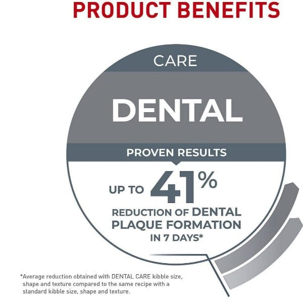 Royal Canin Adult Dry Cat Food for Optimal Dental Care