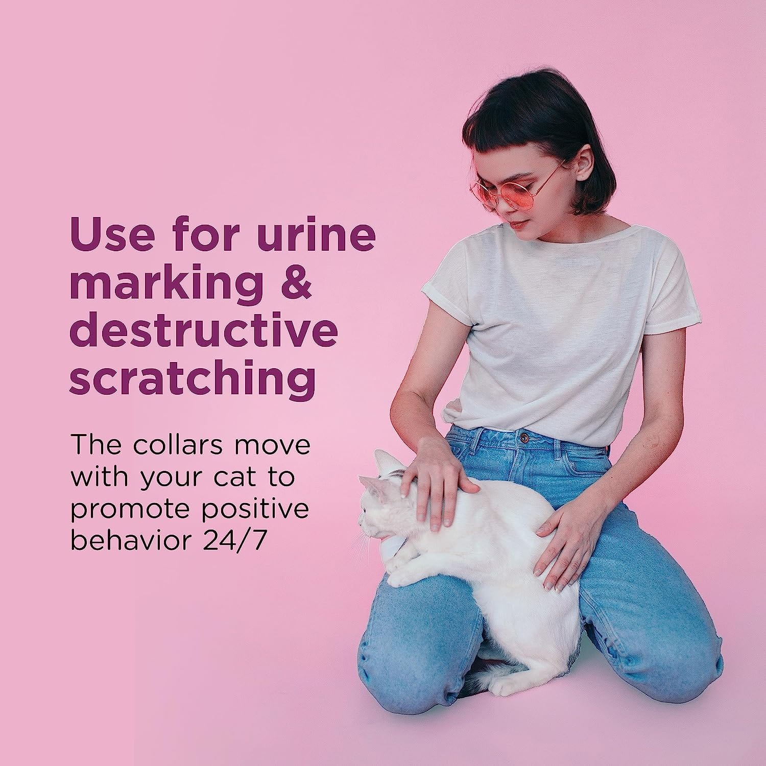 Comfort Zone Cat Calming Pheromone Collar for On - the - Go Cats