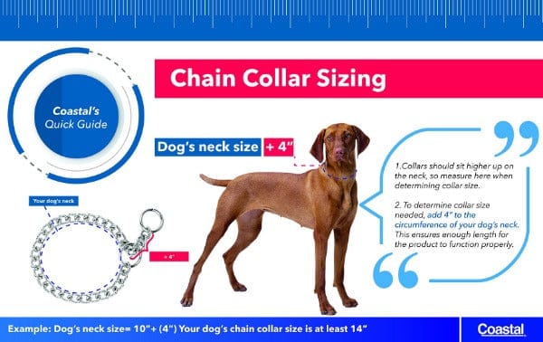 Heavy - Duty Chrome - Plated Titan Prong Training Collar for Dogs