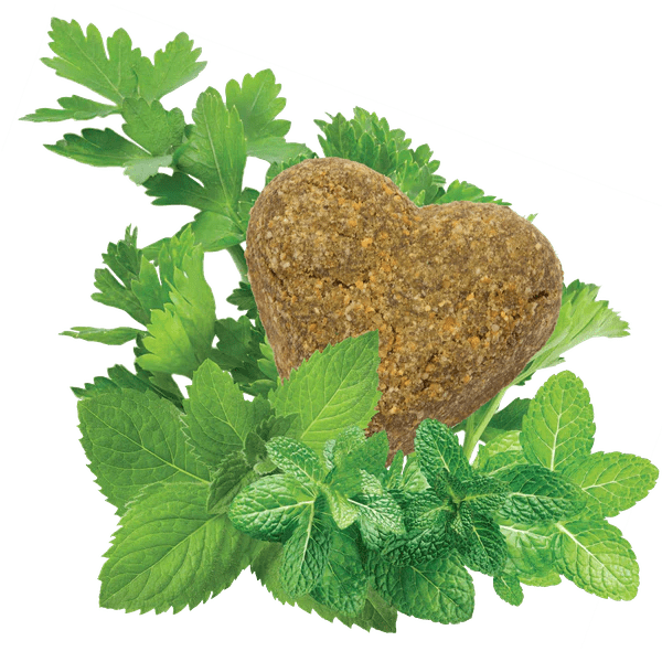Darford Grain-Free, All-Natural Oven-Baked Dog Treats - Breath Beaters with Real Chicken
