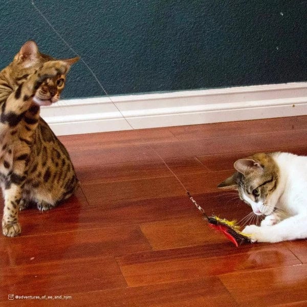 Turbo Extendable Flying Feather Teaser Cat Toy for Active Play