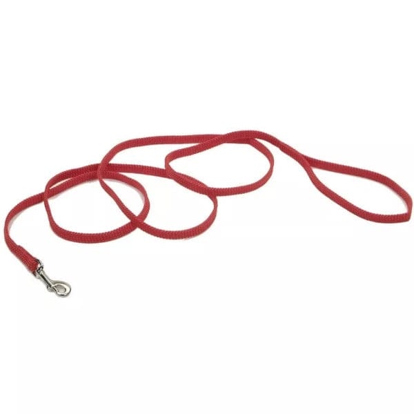 Colorful Coastal Dog Leash for Growing Puppies and Small Dogs