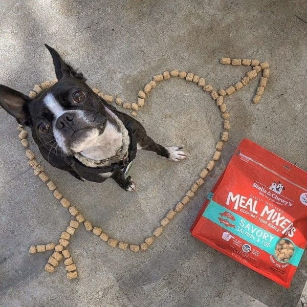 Stella & Chewy's Delectable Raw Salmon & Cod Meal Mixers for Dogs
