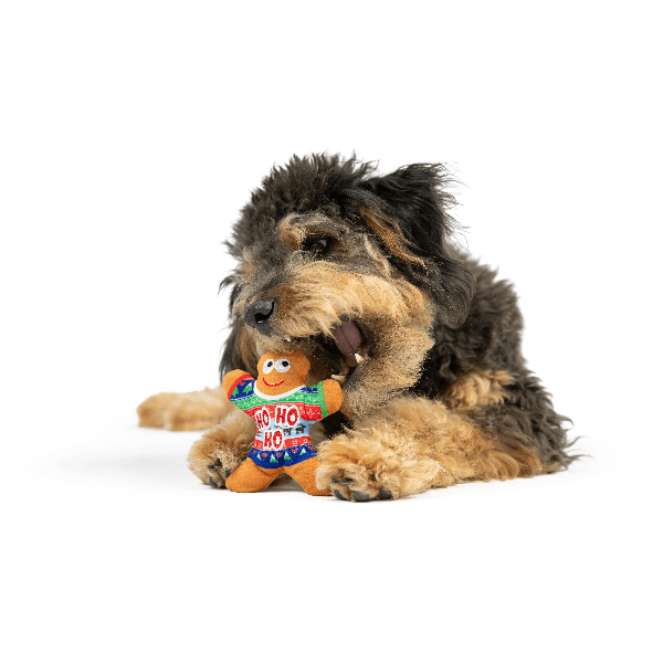 Huxley & Kent Festive Tiny Tuff Ugly Sweater Party Dog Toy Set for Small Dogs