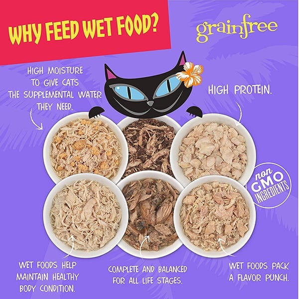 Tiki Cat Aloha Friends 5.5oz Canned Cat Food: Tuna, Ocean Whitefish & Pumpkin Recipe