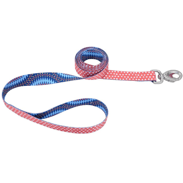 Stylish Two - Sided Sublime Dog Leash with Fashion - Forward Hardware