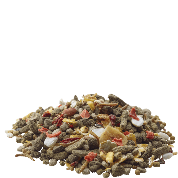 Versele-Laga Nutritious Gerbil Food with Animal Protein, Fruits, Veggies and Extra Cereals