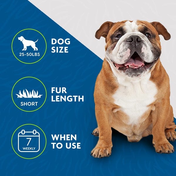 FURminator Medium-Sized DeShedding Tool for Short-Haired Dogs