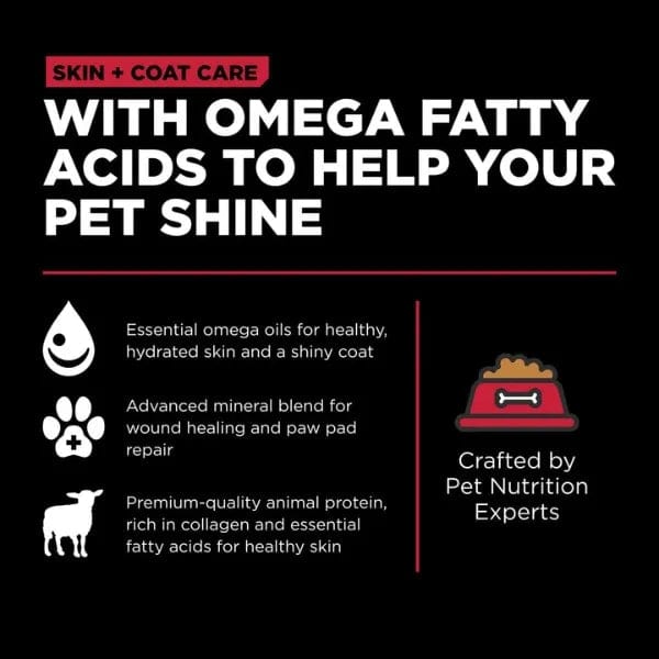 Go! Solutions Grain-Included Dry Dog Food Lamb Recipe for Skin and Coat Care
