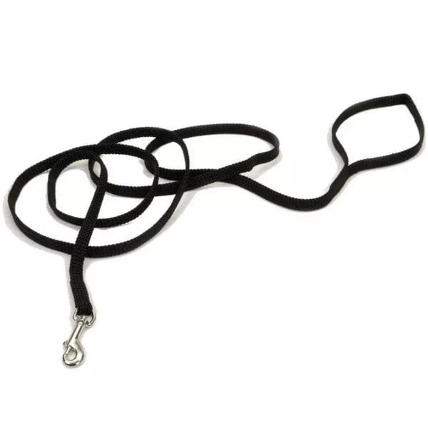 Colorful Coastal Dog Leash for Growing Puppies and Small Dogs
