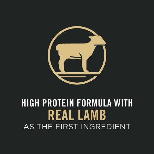 Purina Pro Plan 7lb Adult Dry Cat Food with Lamb & Rice for Sensitive Skin and Stomach