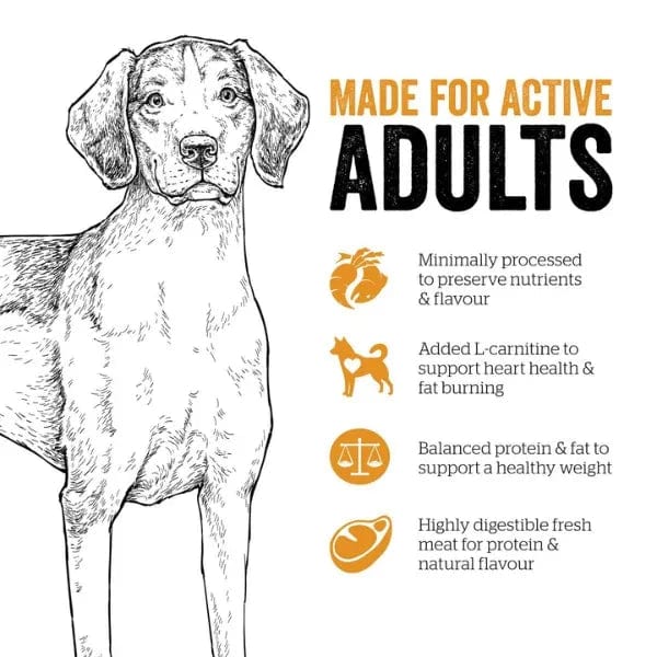 Now Fresh Premium Adult Dry Dog Food with a Blend of Turkey, Salmon, and Duck