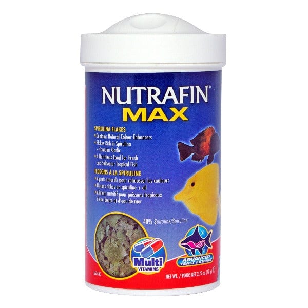 Nutrafin Max High - Quality Spirulina Fish Food Flakes