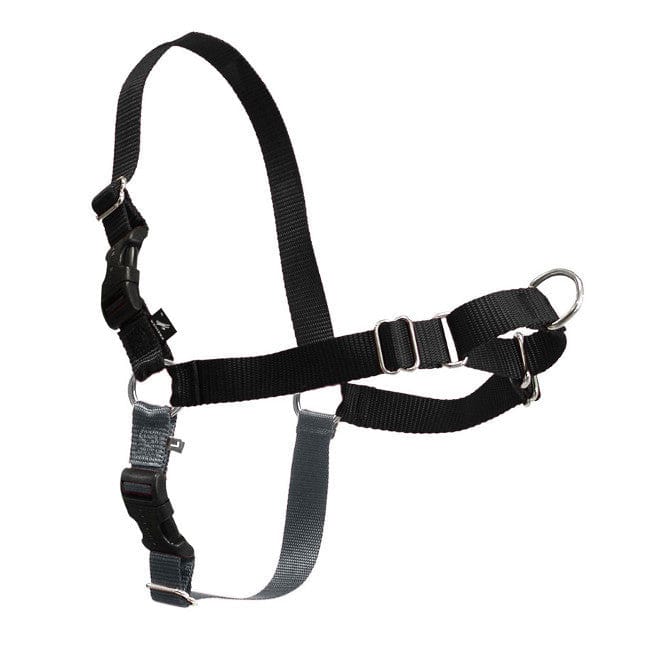 PetSafe Comfortable Easy Walk Dog Harness with Lead