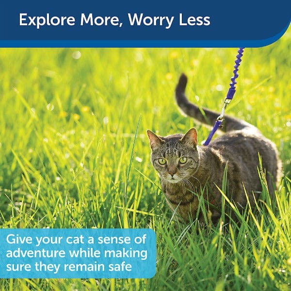 PetSafe Come With Me Cat Harness and Bungee Leash - An Ideal Walking Gear for Felines