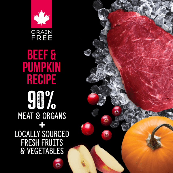 Nutrience SubZero Premium Freeze - Dried Raw Beef & Pumpkin Dog Food for Optimal Nutrition