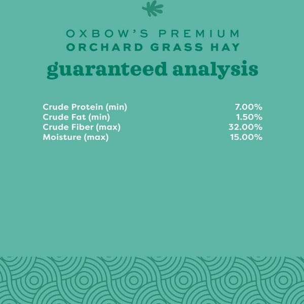 Oxbow Premium Orchard Grass Hay for Small Pets