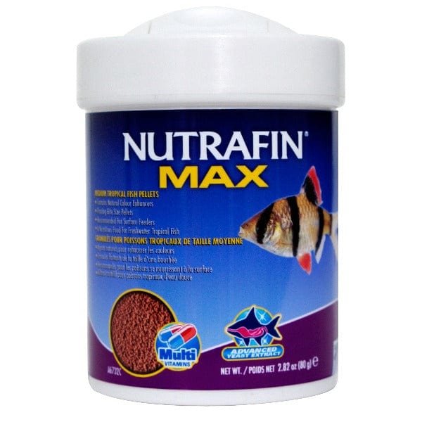 Nutrafin Max High - Quality Medium Floating Tropical Fish Pellets