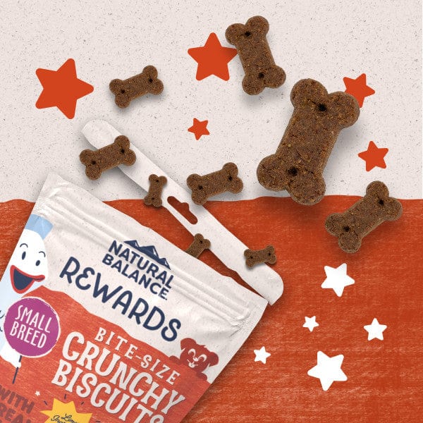 Natural Balance Small Breed Dog Treats - Crunchy Biscuits Featuring Real Salmon, 8 Ounce Package