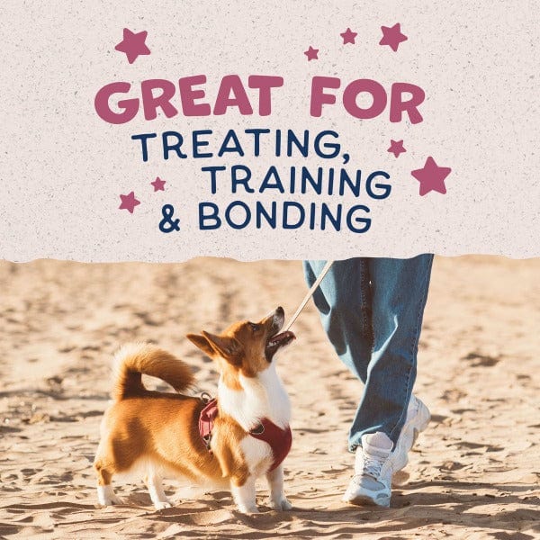 Natural Balance Oven - Baked Crunchy Venison Dog Biscuits, Ideal Small - Breed Recipe, 8 - ounce Package