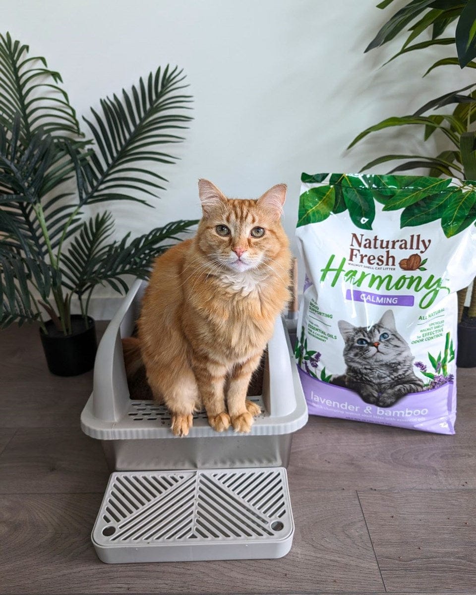 Naturally Fresh Harmony: Calming Lavender and Bamboo Infused Cat Litter