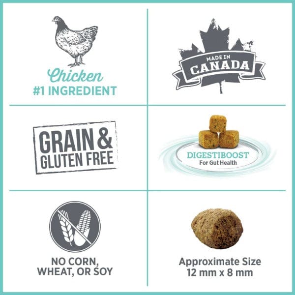 Nutrience Care+ Premium Oral Health Dry Cat Food for Optimal Dental Care