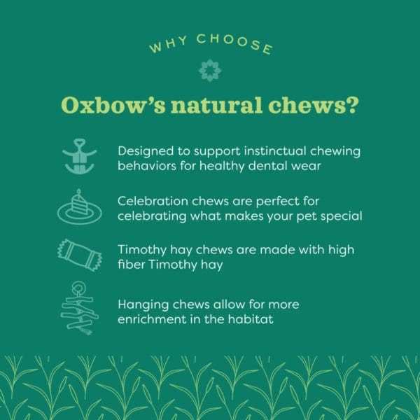 Oxbow Enriched Life Pet Celebration Gift Basket