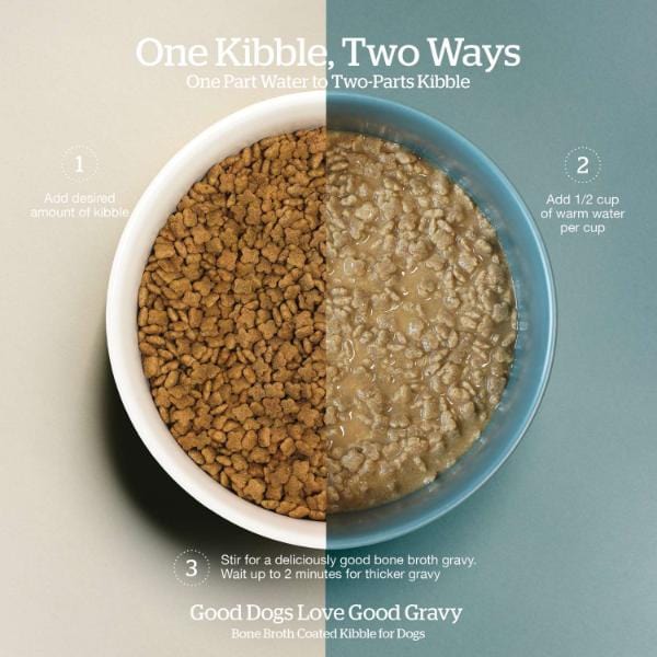 Now Fresh Small Breed Adult Dry Dog Food - Good Gravy Salmon Recipe