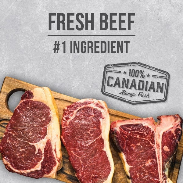 Nutrience Infusion Premium Dry Dog Food - Healthy Adult Beef Recipe