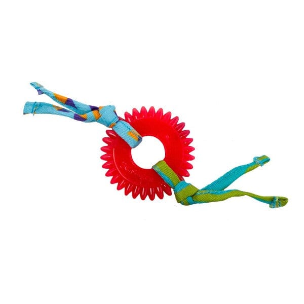 Petstages Interactive Dental Kitty Chew Wheel Cat Toy for Chewing Enthusiast Felines