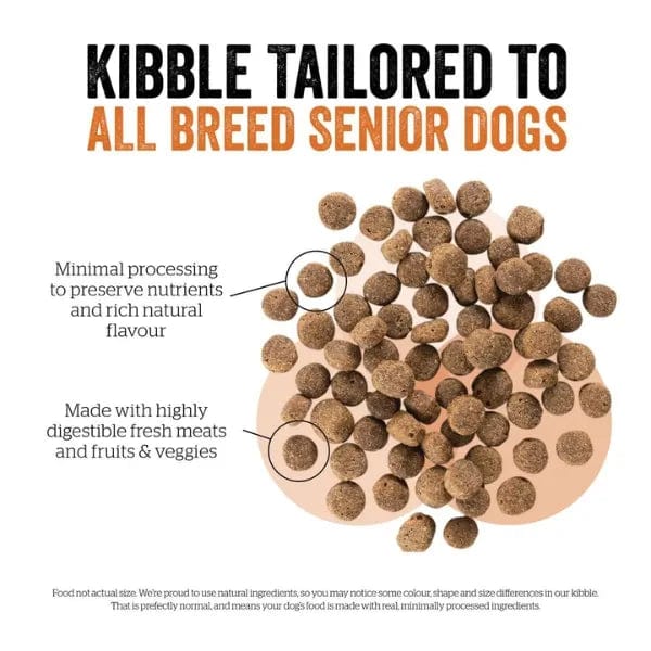 Now Fresh Premium Senior Dry Dog Food with Turkey, Salmon & Duck, 22-Pound Bag