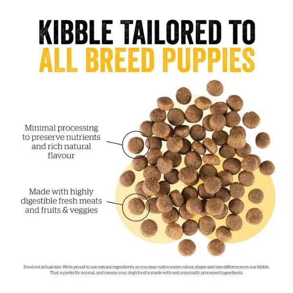 Now Fresh Dry Puppy Food with Turkey, Salmon & Duck, 22 lb