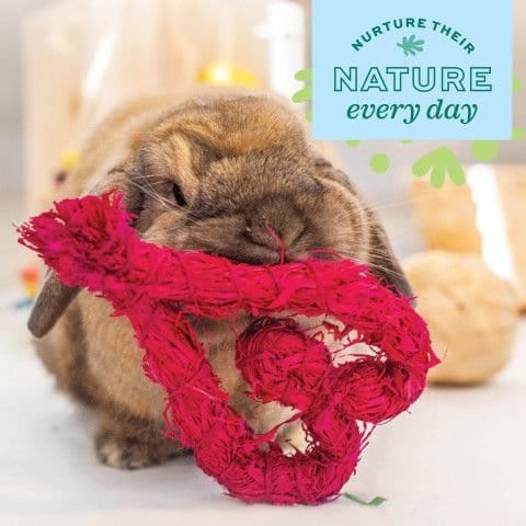 Oxbow Enriched Life Pet Chew Toy - Celebration Heart Shape