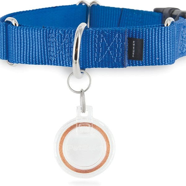 PetSafe Unique Passport Key for Pet Access Smart System